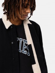 Демісезонна куртка Dickies Duck Canvas Deck модель DK0A4XFYC401 Фото