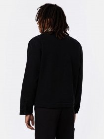 Демісезонна куртка Dickies Duck Canvas Deck модель DK0A4XFYC401 Фото