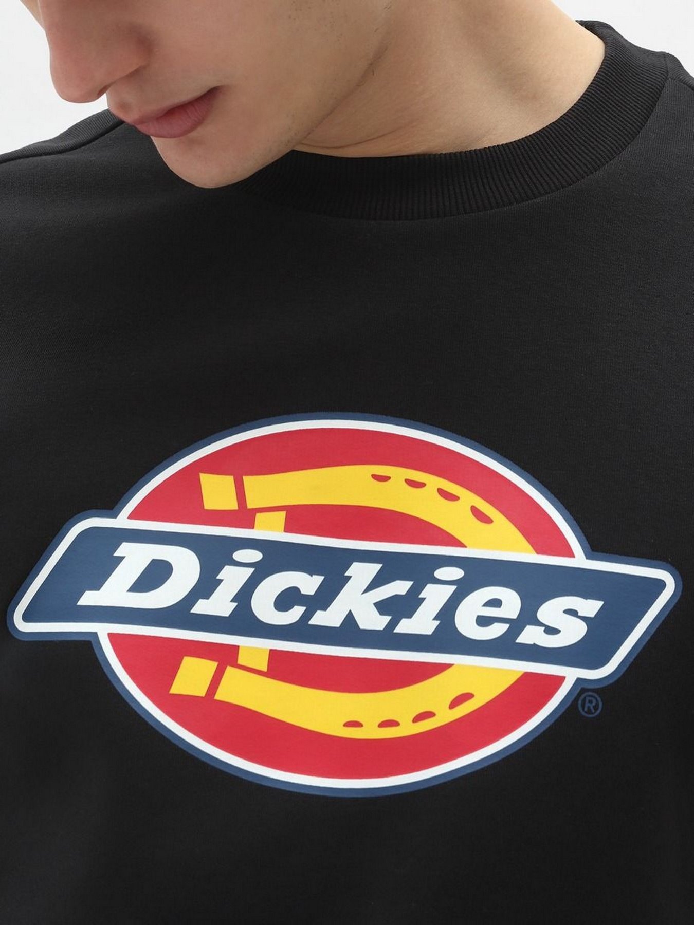 Свитшот Dickies  Icon Logo модель DK0A4XCIBLK1 Фото