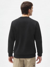 Світшот Dickies  Icon Logo модель DK0A4XCIBLK1 Фото