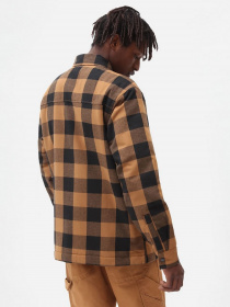 Сорочка повсякденна Dickies SHERPA LINED SACRAMENTO модель DK0A4XGRBD01 Сорочка повсякденна Dickies SHERPA LINED SACRAMENTO модель DK0A4XGRBD01 Фото