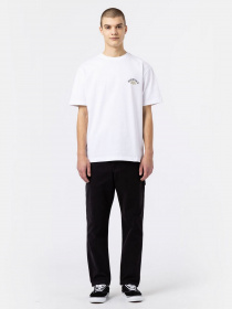 Повсякденні штани Dickies Duck Carpenter модель DK0A4XIFC401 Фото