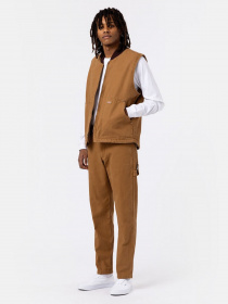 Повсякденні штани Dickies DC Carpenter модель DK0A4XIFC411 Фото