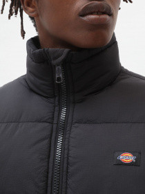 Зимняя куртка Dickies Waldenburg модель DK0A4XP2BLK1 Фото