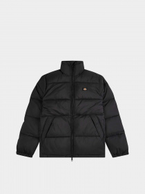 Зимняя куртка Dickies Waldenburg модель DK0A4XP2BLK1 Фото