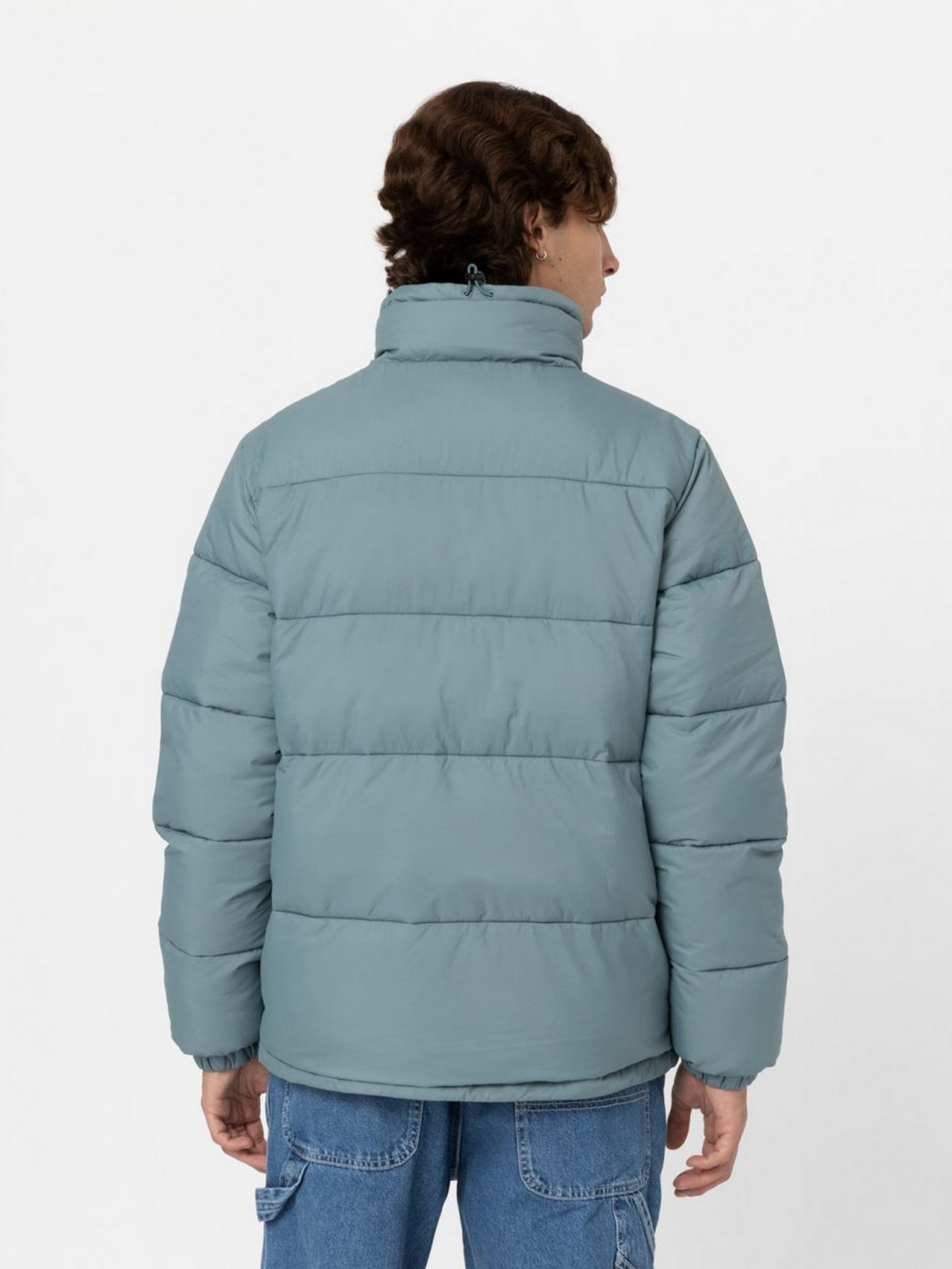 Зимова куртка Dickies WALDENBURG модель DK0A4XP2G071 Фото