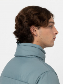 Зимова куртка Dickies WALDENBURG модель DK0A4XP2G071 Фото