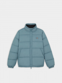 Зимова куртка Dickies WALDENBURG модель DK0A4XP2G071 Фото