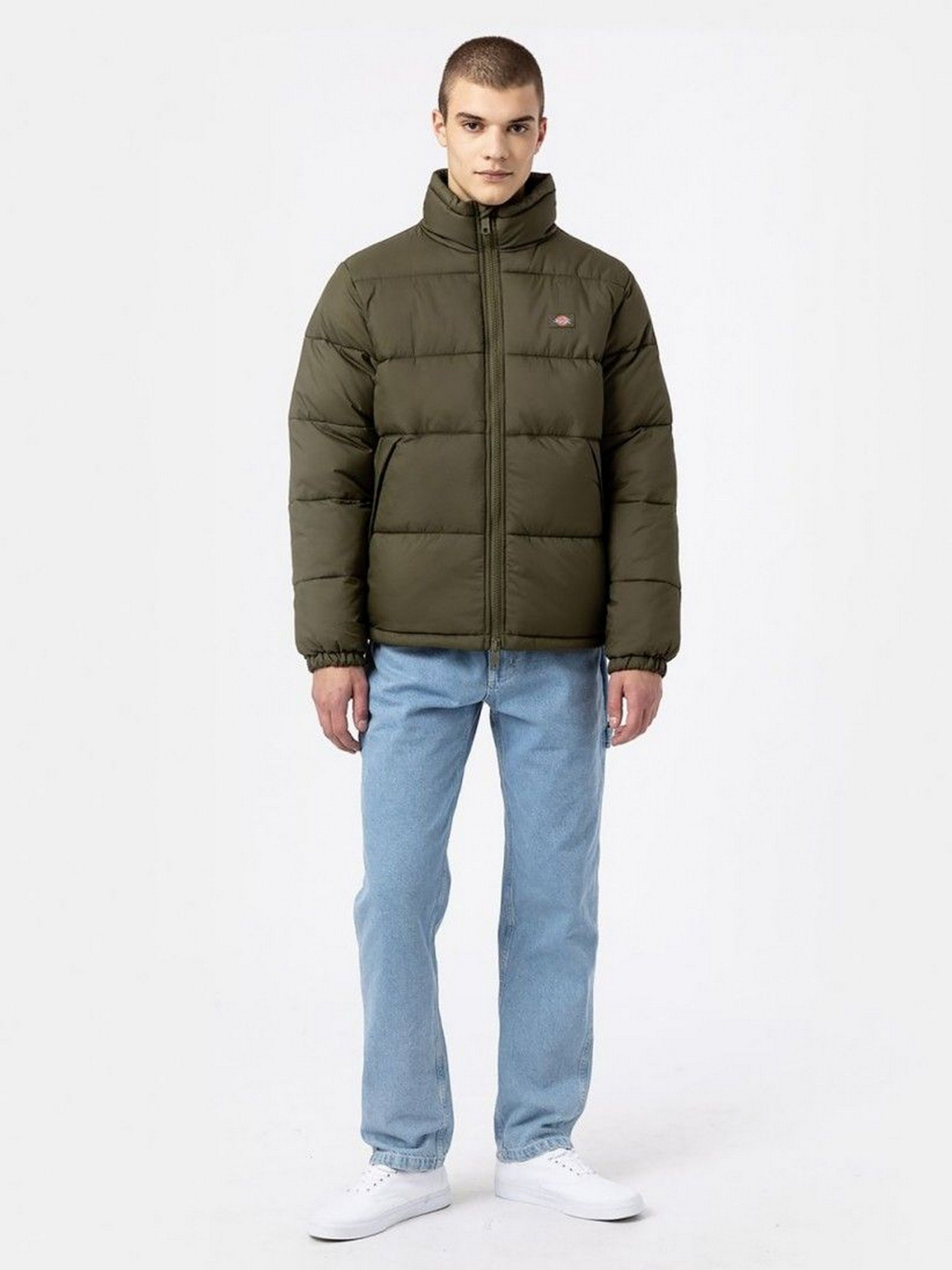 Зимова куртка Dickies WALDENBURG модель DK0A4XP2MGR1 Фото