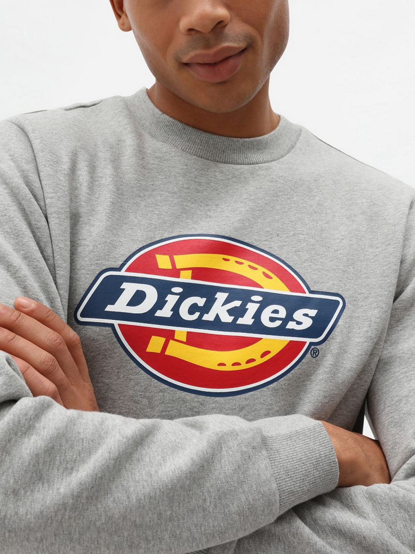 Світшот Dickies  Icon Logo модель DK0A4XCIGYM1 Фото