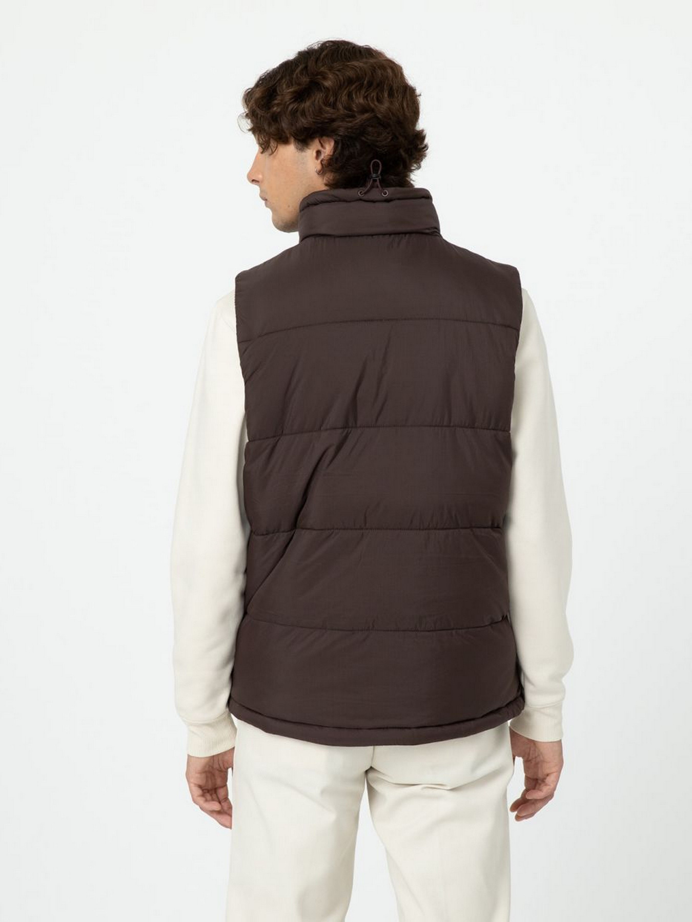 Жилет с утеплителем Dickies Waldenburg модель DK0A4Y2KD711 Фото