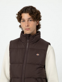 Жилет с утеплителем Dickies Waldenburg модель DK0A4Y2KD711 Фото