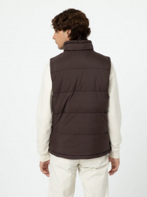 Утеплений жилет Dickies Waldenburg модель DK0A4Y2KD711 Фото