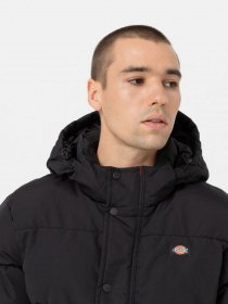 Зимова куртка Dickies Glacier модель DK0A4Y3WBLK1 Фото