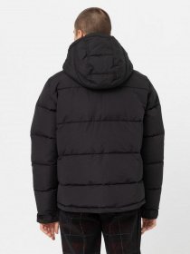 Зимняя куртка Dickies Glacier модель DK0A4Y3WBLK1 Фото