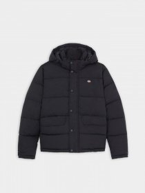 Зимняя куртка Dickies Glacier модель DK0A4Y3WBLK1 Фото