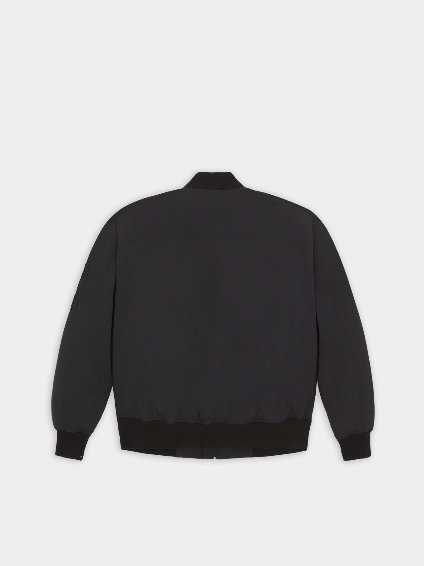 Бомбер Dickies Overbrook модель DK0A4YEQBLK1 Бомбер Dickies Overbrook модель DK0A4YEQBLK1 Фото