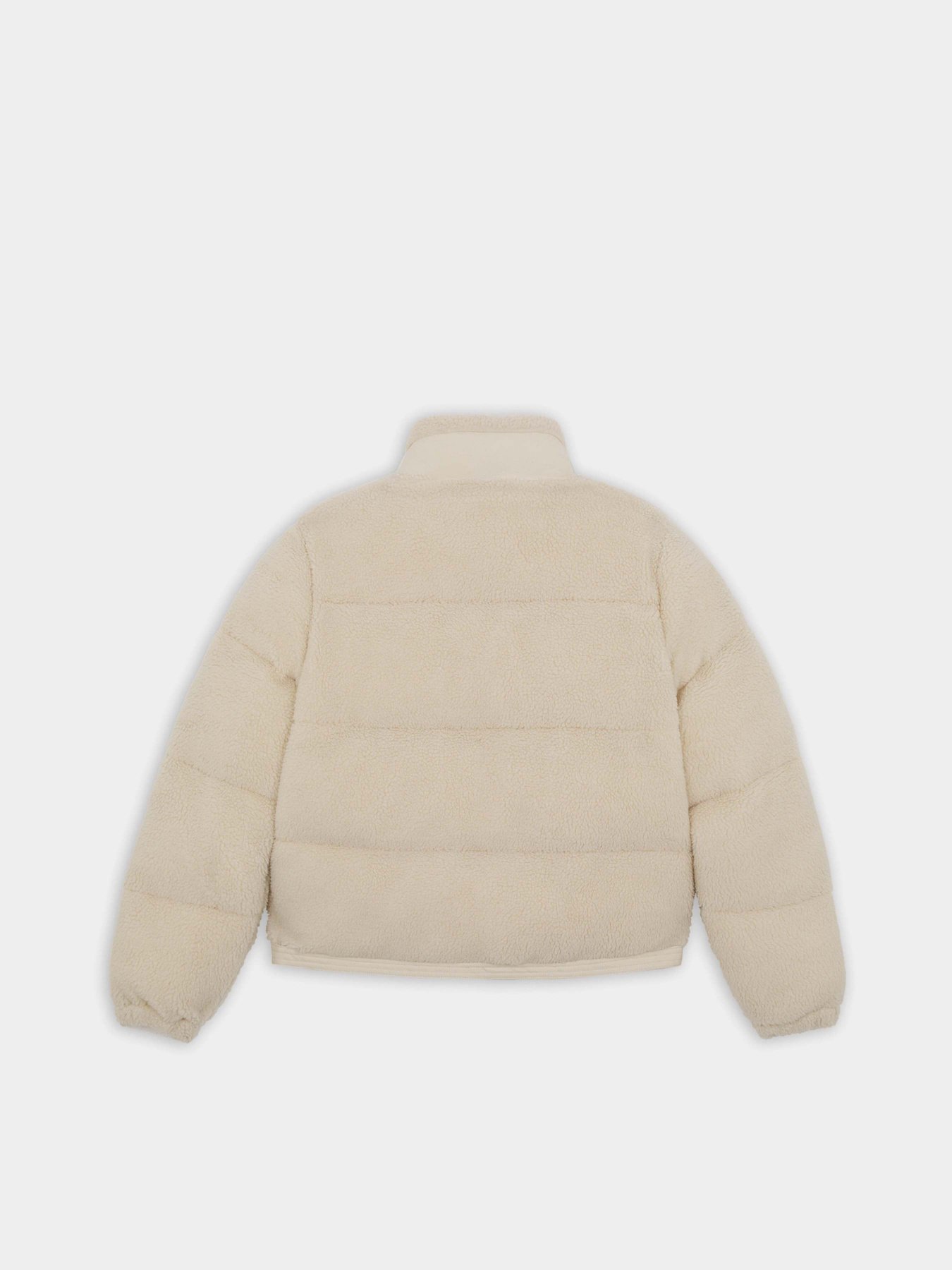 Зимова куртка Dickies Mount Hope Sherpa модель DK0A4YEVF901 Фото