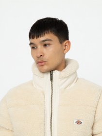 Зимова куртка Dickies Mount Hope Sherpa модель DK0A4YEVF901 Фото