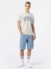 Джинсові шорти Dickies Garyville модель DK0A4XCKC151 Фото