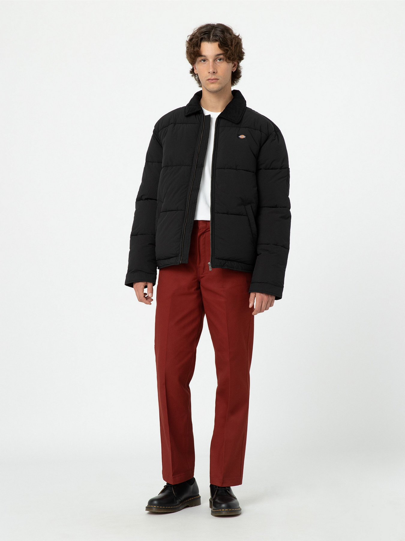 Зимова куртка Dickies Overbrook Eisenhower модель DK0A4YEXBLK1 Фото