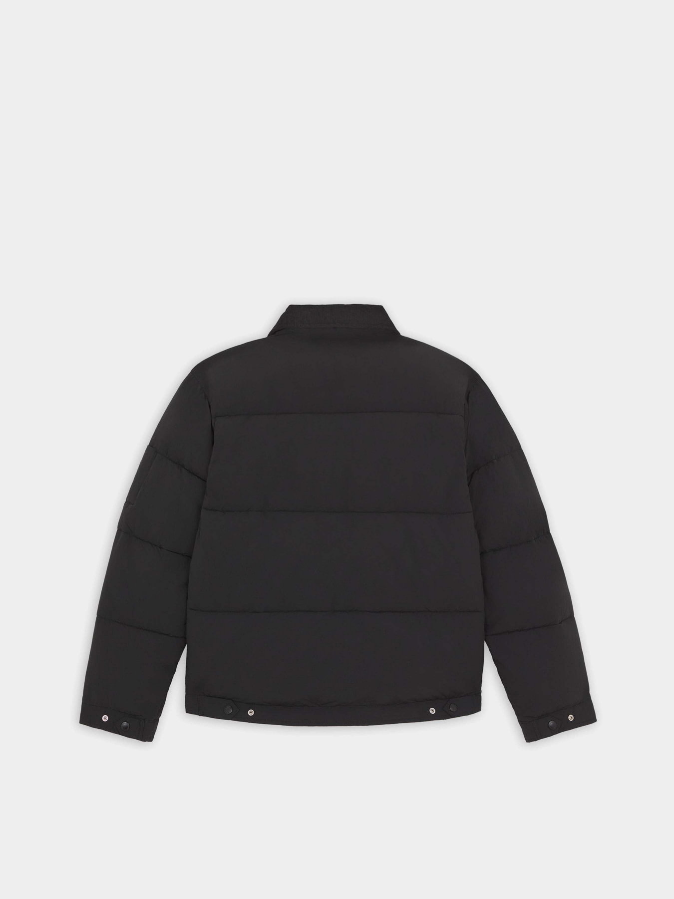 Зимова куртка Dickies Overbrook Eisenhower модель DK0A4YEXBLK1 Фото