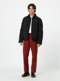 Зимова куртка Dickies Overbrook Eisenhower модель DK0A4YEXBLK1 Фото