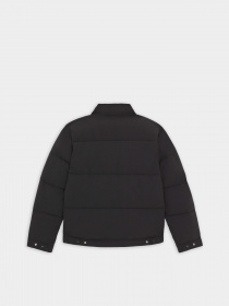 Зимова куртка Dickies Overbrook Eisenhower модель DK0A4YEXBLK1 Фото