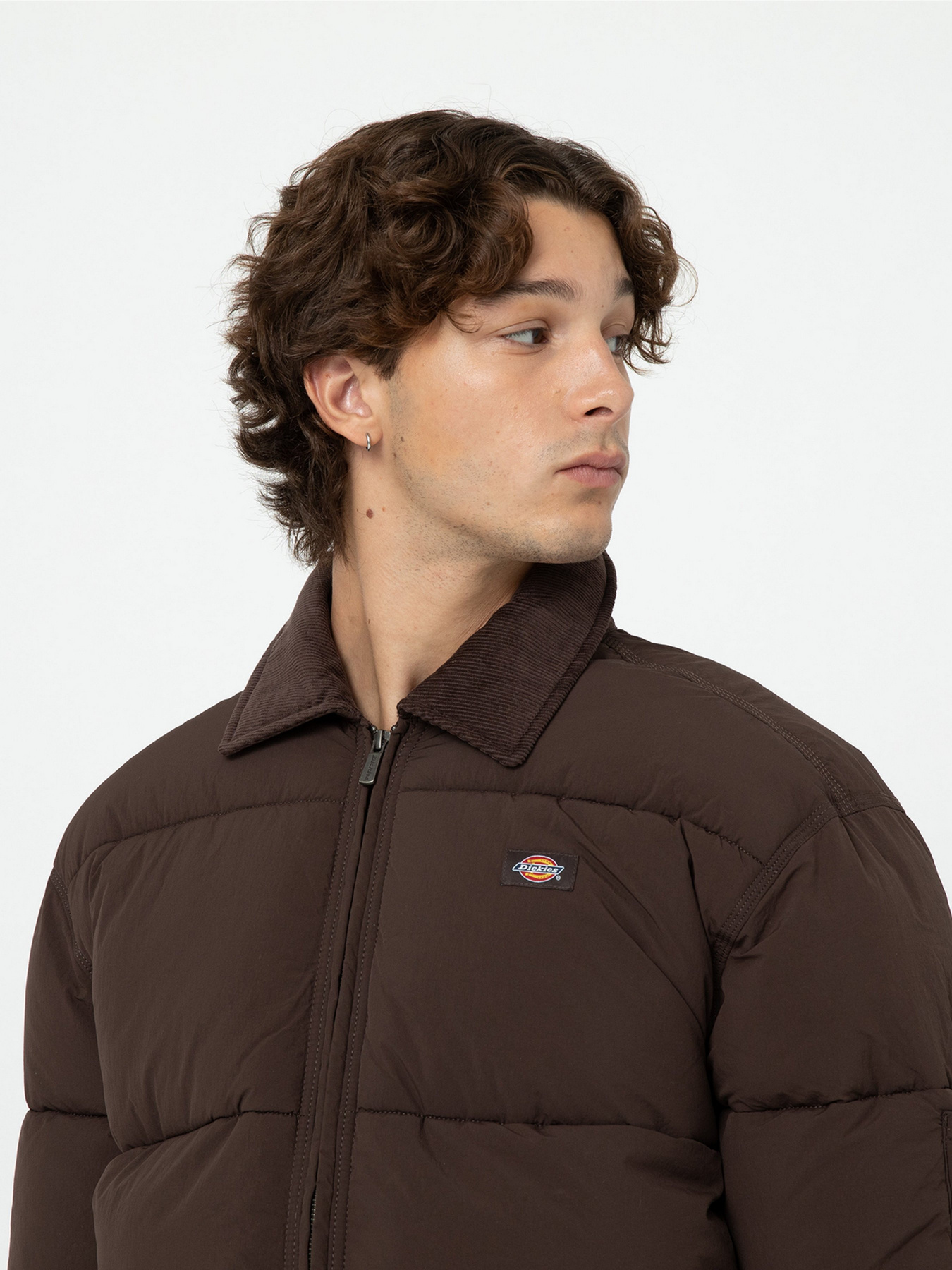 Зимняя куртка Dickies Overbrook Eisenhower модель DK0A4YEXD711 Зимняя куртка Dickies Overbrook Eisenhower модель DK0A4YEXD711 Фото