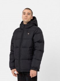 Куртки та дублянки Dickies Glacier модель DK0A4YEYBLK1 Фото