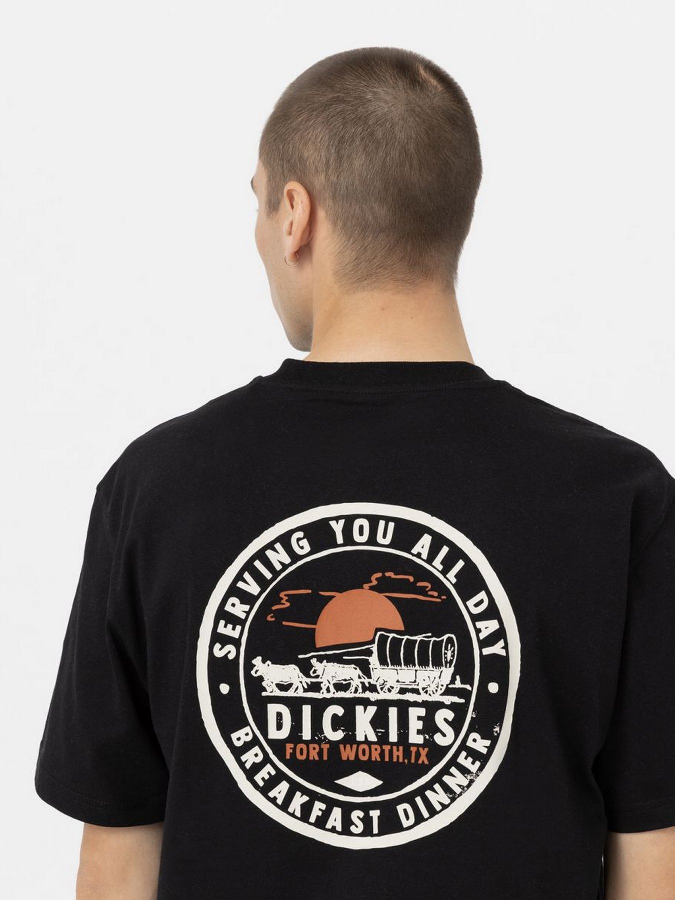 Футболка Dickies GREENSBURG модель DK0A4YFGBLK1 Фото