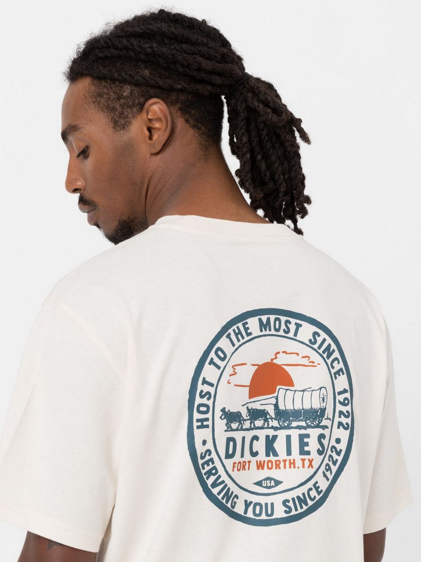 Футболка Dickies GREENSBURG модель DK0A4YFGF901 Фото