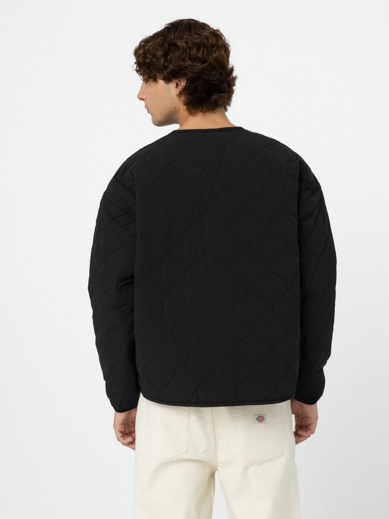 Демисезонная куртка Dickies Thorsby Liner модель DK0A4YG6BLK1 Фото