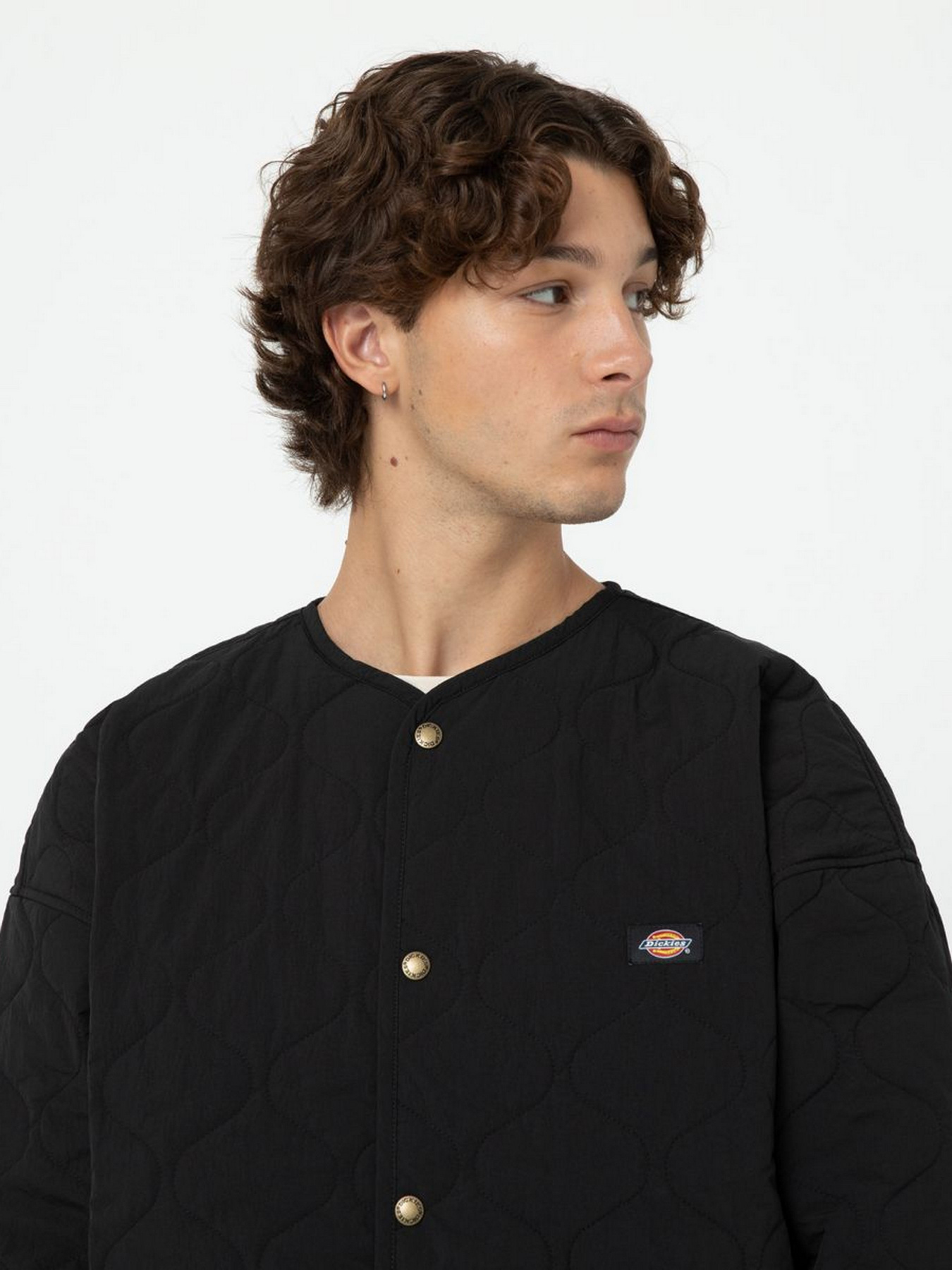 Демисезонная куртка Dickies Thorsby Liner модель DK0A4YG6BLK1 Фото