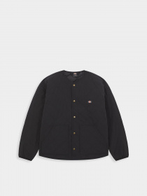 Демисезонная куртка Dickies Thorsby Liner модель DK0A4YG6BLK1 Фото