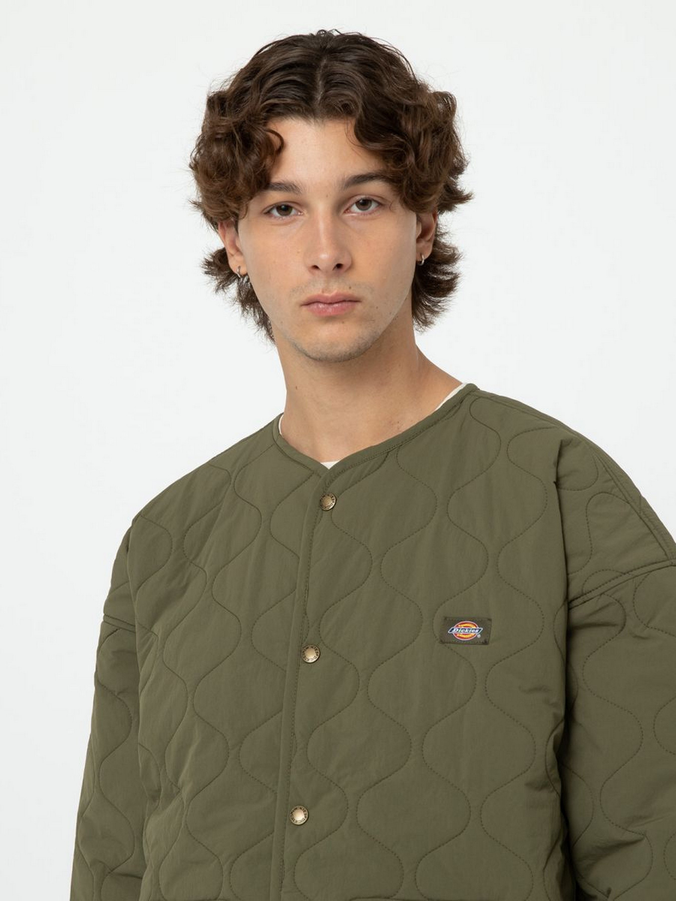 Демисезонная куртка Dickies Thorsby Liner модель DK0A4YG6MGR1 Фото