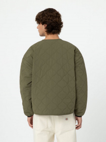 Демисезонная куртка Dickies Thorsby Liner модель DK0A4YG6MGR1 Фото