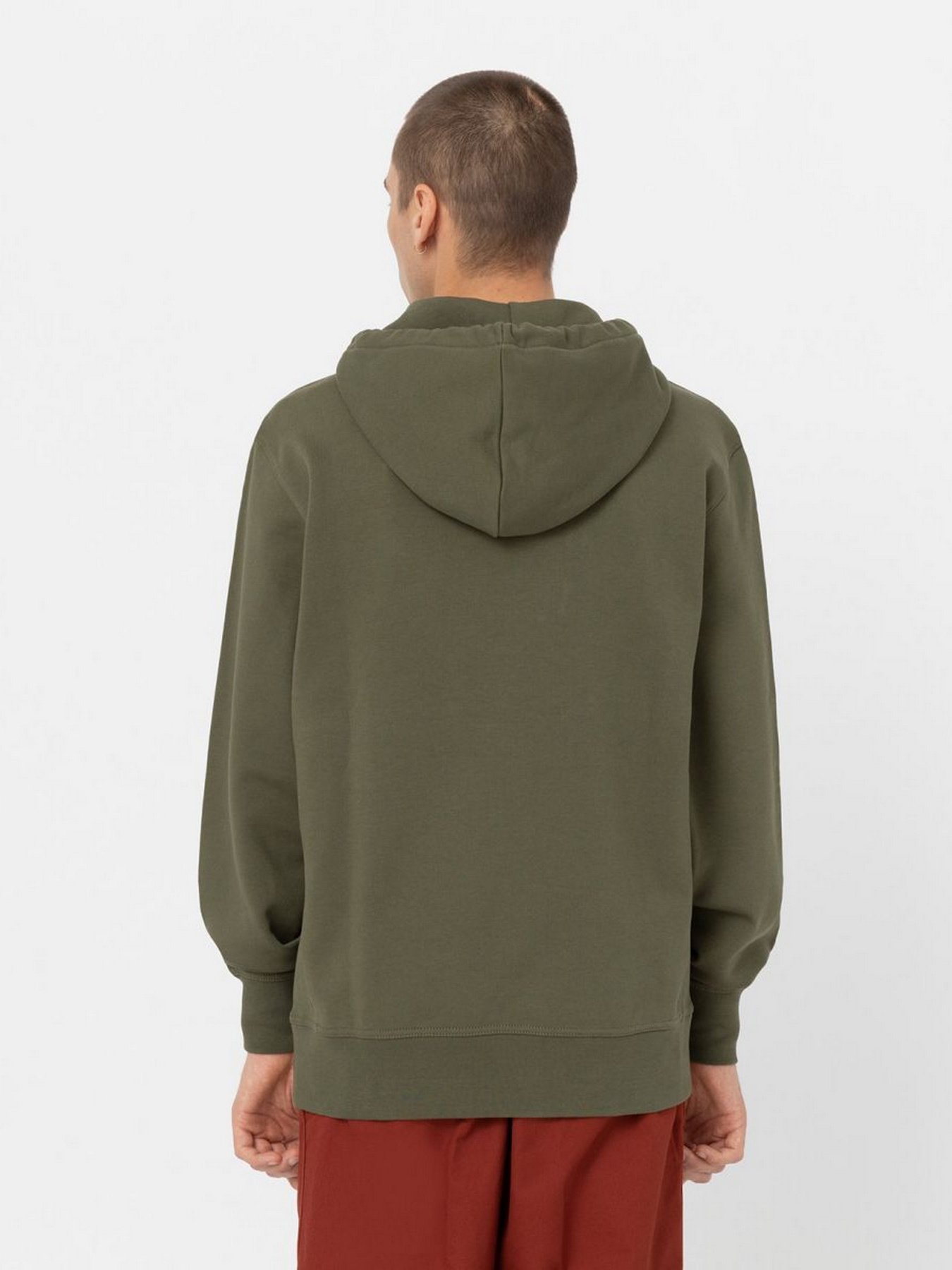 Худи Dickies Mount Vista модель DK0A4XYODKO1 Фото