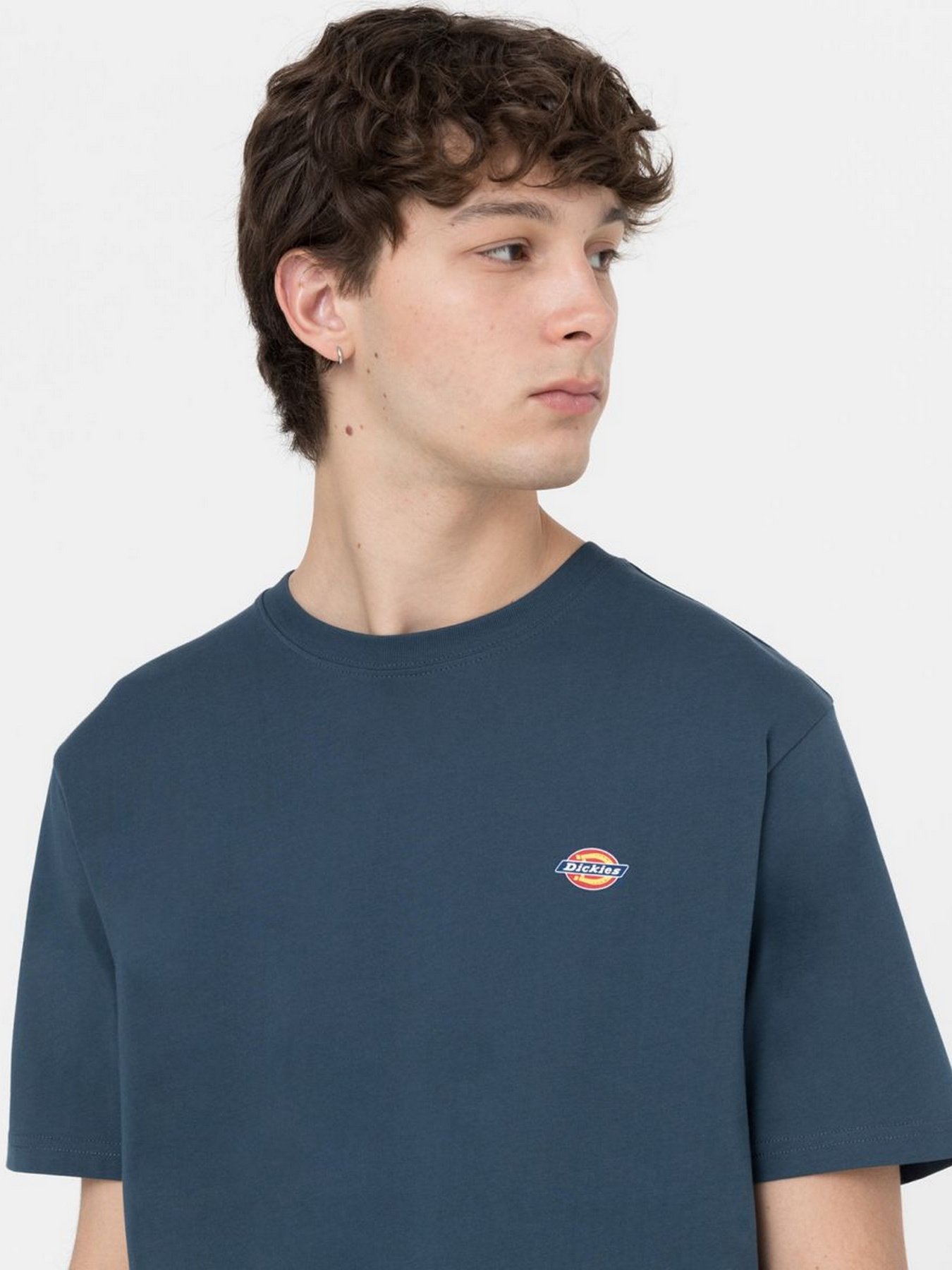 Футболка Dickies SS Mapleton модель DK0A4XDBAF01 Фото