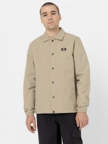 Демісезонна куртка Dickies Oakport Coach модель DK0A4XEWKHK1 Фото
