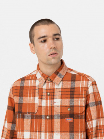 Сорочка повсякденна Dickies Nimmons Bombay модель DK0A4XGUC051 Фото