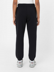 Джогери Dickies Mapleton Sweatpant модель DK0A4XIMBLK1 Фото