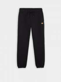 Джоггеры Dickies Mapleton Sweatpant модель DK0A4XIMBLK1 Фото