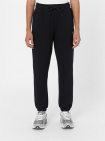 Джоггеры Dickies Mapleton Sweatpant модель DK0A4XIMBLK1 Фото