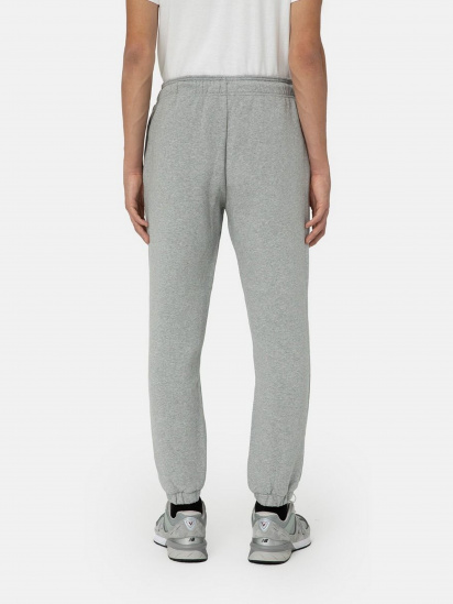 Джогери Dickies Mapleton Sweatpant модель DK0A4XIMGYM1 — фото - INTERTOP