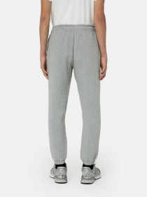 Джоггеры Dickies Mapleton модель DK0A4XIMGYM1 Джоггеры Dickies Mapleton модель DK0A4XIMGYM1 Фото