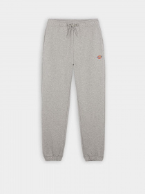 Джоггеры Dickies Mapleton модель DK0A4XIMGYM1 Джоггеры Dickies Mapleton модель DK0A4XIMGYM1 Фото