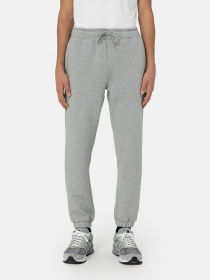 Джоггеры Dickies Mapleton модель DK0A4XIMGYM1 Фото