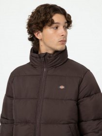 Зимова куртка Dickies WALDENBURG модель DK0A4XP2D711 Фото