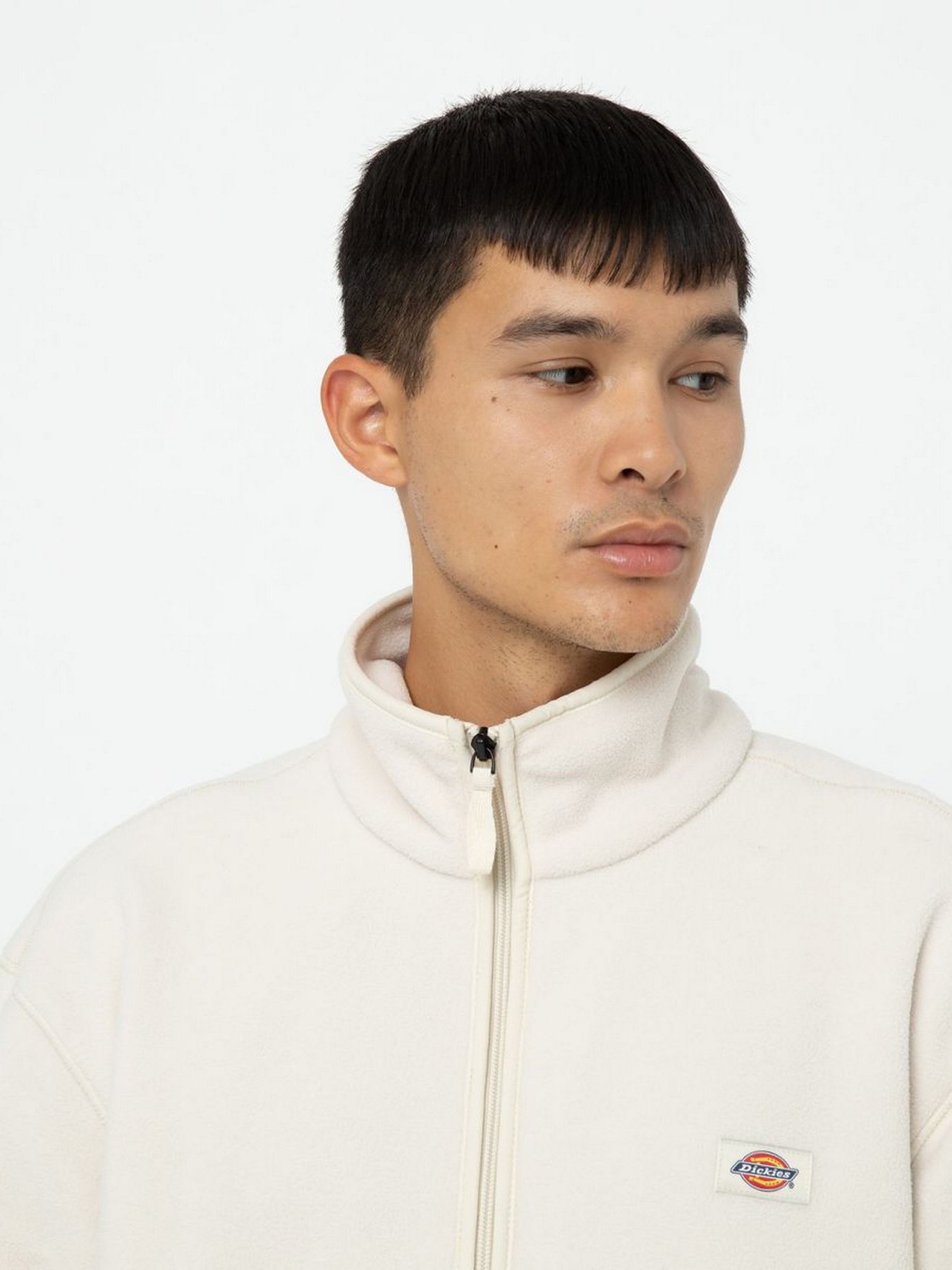 Кофта Dickies Louisburg Fleece модель DK0A4YEDF901 Фото